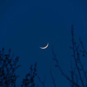 俄罗斯十八岁性爰A级片
