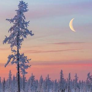 日本老太太毛耸耸
