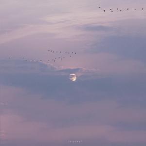 勾魂波霸美女图片大全大图高清
