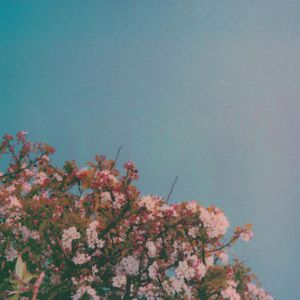 女人❌又爽❌又黄❌视频
