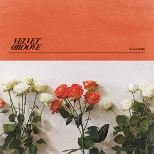 兼职宣传片小鹤导航
