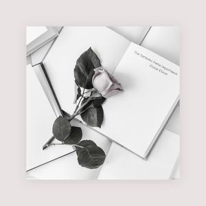 免费搭建小驴导航
