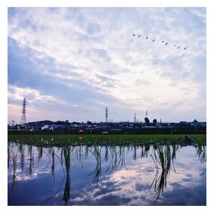 裸模杨思敏人体私拍
