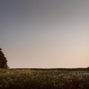 欧美人与性口性校配
