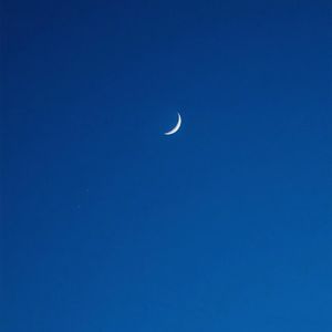 水菜丽被三个黑人一起
