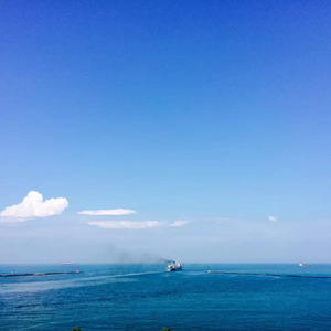 女性脱👙给我揉🐻的软
