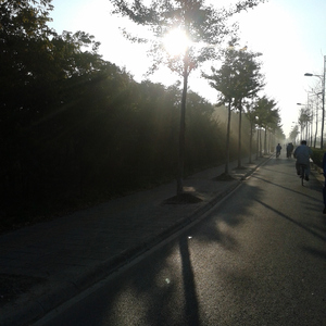 tickling orgasm丨ⅤK
