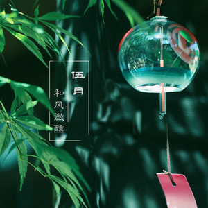 业余自由 场景 剪辑 视频
