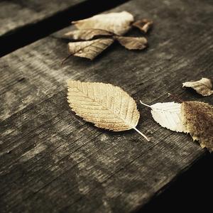 ass日本青少年肉体pice
