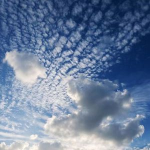 东北少妇水多淫荡性交
