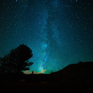 国产一级a毛一级a看免费视频乱
