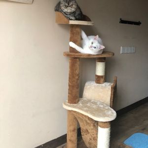 少妇推油按摩私密Bb
