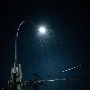 狼友视频免费观看
