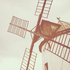 cutie kim在线观看
