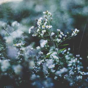 八卦海AV高清在线播放
