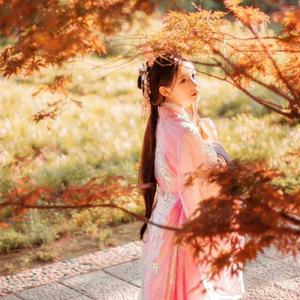 レストラント排泄脱粪呕吐
