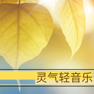 天天干老太太色网
