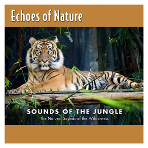 日本亲近相尾妈妈儿子综艺
