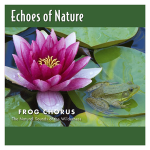 想看超清黄片视频
