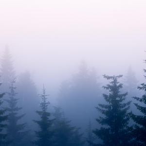 我的总裁老妈3D漫画下拉式
