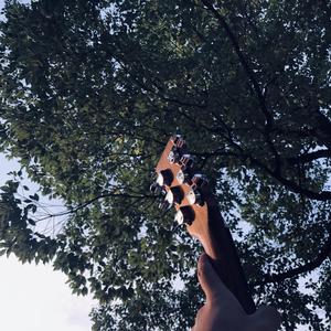 上海熟妇搡BBBB搡BBBB
