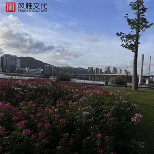 美女直播扒开大腿给你看BB
