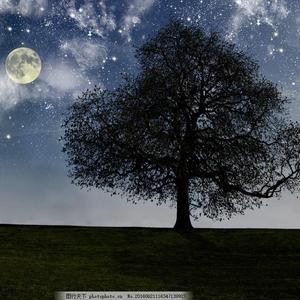 逍遥李然捆绑免费视频
