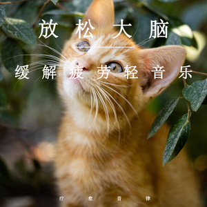 男人高中宿舍Cay互吃鳮
