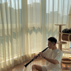 精品一区二区在线视频
