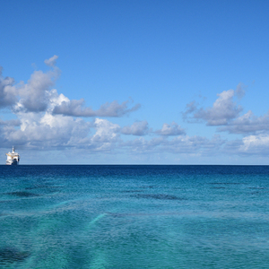国内美女厕所流露
