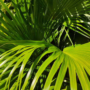 校花夹震蛋上课爽死h女女
