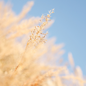 国产精品视频国产综合
