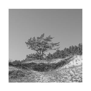 名模abb游戏大全
