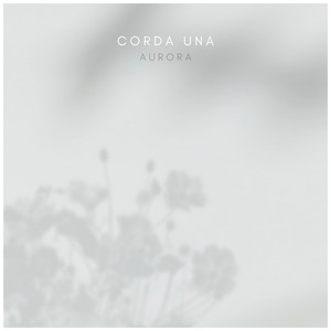 手机看片国产1024
