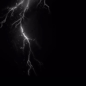 欧美人与动牲交a欧美精品
