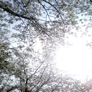 羞羞漫画中国摩托迷网
