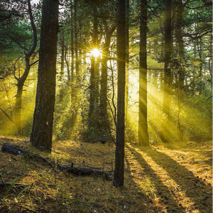 羞羞漫画中国摩托迷网
