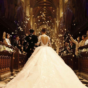 猫女误入面包加工厂
