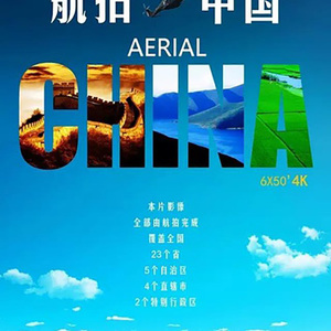 久草视频在线新
