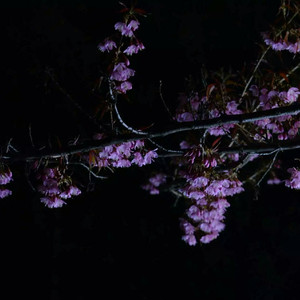 国产精品㊙️吴梦梦在
