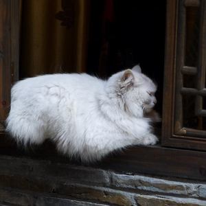 女学生被❌c🐻扒衣服
