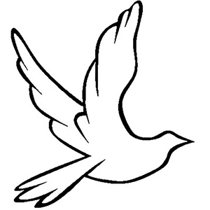 91精品国产自产永久免费
