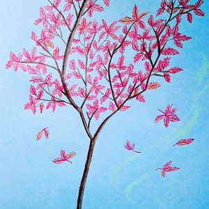 人妖与女人性校配视频
