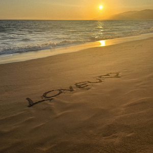 妞干网免费视频
