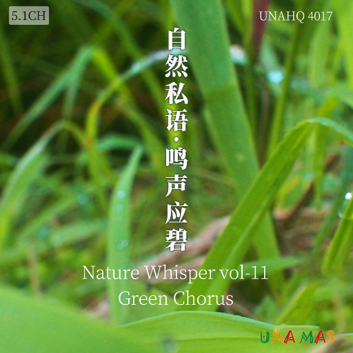 在线看免费毛片
