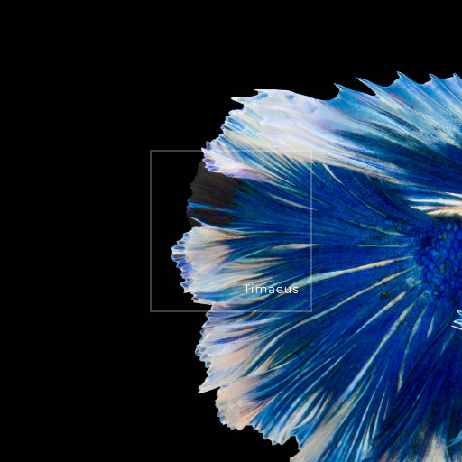 兰州姑娘pk老外视频一区二区
