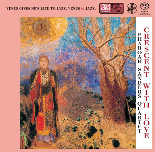 美女被强行上垒
