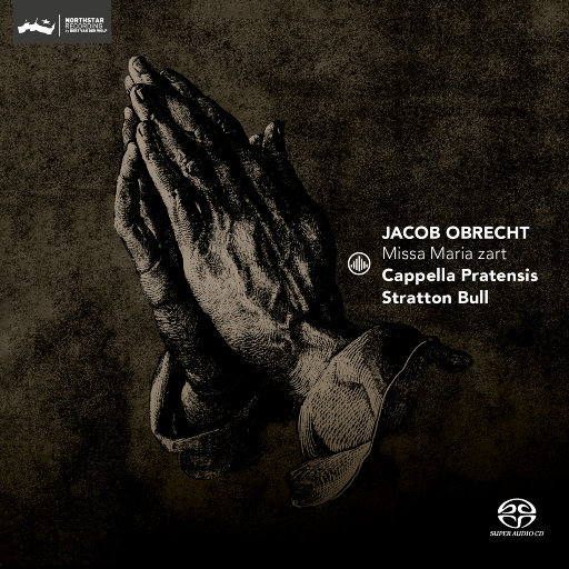 欧美12sex性hd摘花
