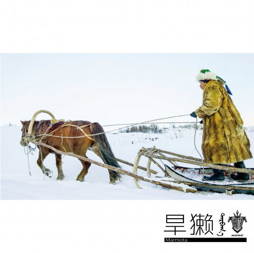 亚洲AV一级在线观看
