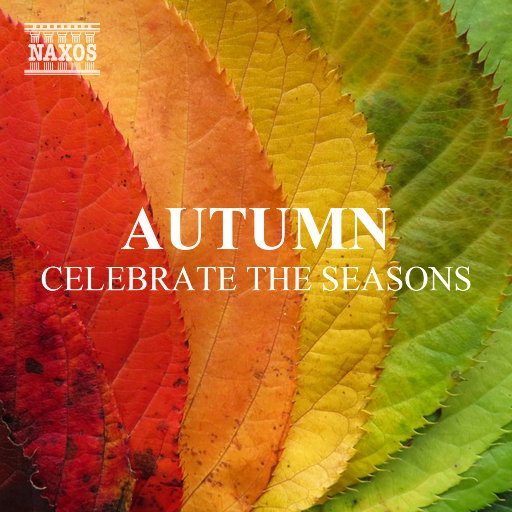 爽死放荡粗暴婬货宁荣荣漫画免
